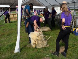 Zaterdag 30 mei 2026: Wol- en schaapscheerfestijn