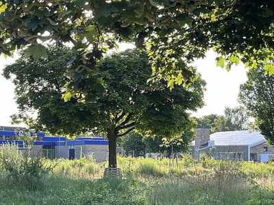 Tijdelijke verhuizing van 2 groepen Prins Willem-Alexanderschool in Ermelo