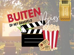 Buitenbios Ermelo: twee filmavonden in de openlucht, de zomeravond als bioscoopzaal