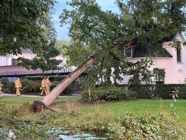 Grote boom valt op Kasteel Staverden in Ermelo