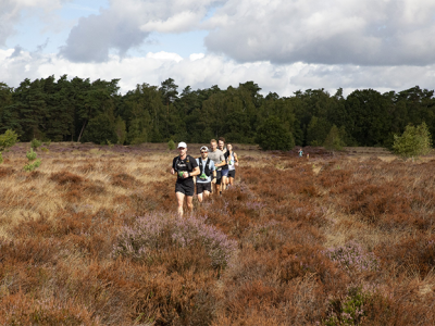 Volop genieten tijdens de Veluwse TrailRun 2026