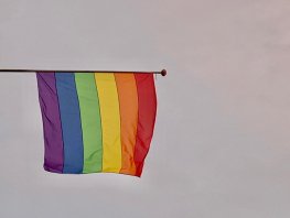 Progressief Ermelo deelt gratis regenboogvlaggen uit: 'Laat zien dat Ermelo w&eacute;l trots is op haar veelkleurigheid!'