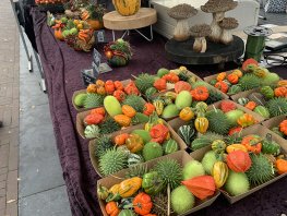 Herfstmarkt op zaterdag 17 oktober in Ermelo brengt sfeer en gezelligheid
