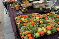 Herfstmarkt op zaterdag 17 oktober in Ermelo brengt sfeer en gezelligheid